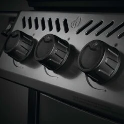 Napoleon Freestyle 365, 3 Hauptbrenner, Graphit -Napoleon Verkaufsgeschäft napoleon freestyle 365 3 hauptbrenner graphit 2f1eb5625778b5d7f71403fa55cda22e