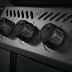 Napoleon Freestyle 425, 4 Hauptbrenner, Mit Sizzle Zone Seitenbrenner, Graphit -Napoleon Verkaufsgeschäft napoleon freestyle 425 4 hauptbrenner mit sizzle zone seitenbrenner graphit 20c7cb3c006a738a4d7762835f80460a