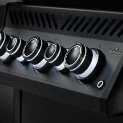 Napoleon Phantom Rogue SE 425, Mattschwarz – Modell 2023 -Napoleon Verkaufsgeschäft napoleon phantom rogue se 425 mit edelstahl rosten mattschwarz 6a3d362ce87b926369c5a2047d871bf2